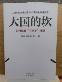 大国的坎：如何破解“卡脖子”难题