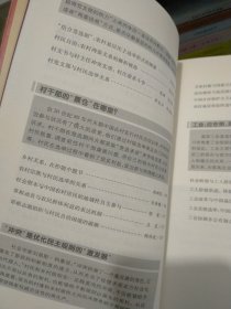 通向大国之路的中国民主：民主演进