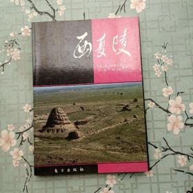 西夏陵:中国田野考古报告