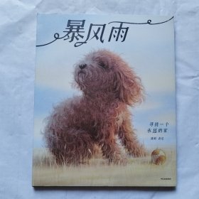暴风雨：寻找一个永远的家 精装绘本