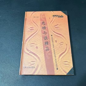 悲情小说精品