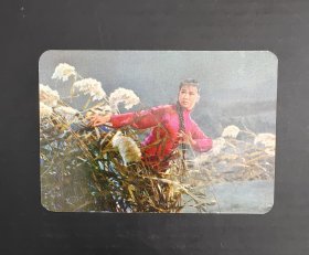1973年年历卡革命现代舞剧《白毛女》2