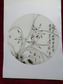 名家画兰6页，散页合售（蔡勇，唐云）