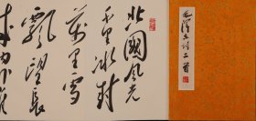 王文学，1958年出生于安徽宿州，籍贯江苏徐州，现居北京，毕业于华东师范大学中文系。先后师从方敬、刘艺先生学习书法，是沈尹默先生入室弟子。现为中国书法家协会会员，中国毛体书协顾问，亚洲佛教文化交流中心迎请殿首席抄经师，清华大学美术学院书画高研班班主任，山东文化艺术研究院特聘研究员，北京新燕都画院院长等。册页尺寸:23x32x12[12折](cm)，手绘保真。(45058#)