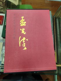 中国近现代名家画集：孟光涛