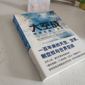 大空战（上下）：世界空战一百年