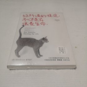 你所谓的稳定，不过是在浪费生命