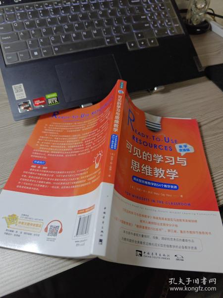 可见的学习与思维教学（教学资源版）：成长型思维教学的54个教学资源