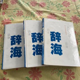 现代汉语辞海 全三册