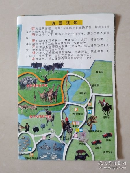 上海野生动物园游园指南