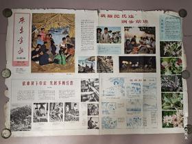 广东画报 农民版1965年第12期(对开)