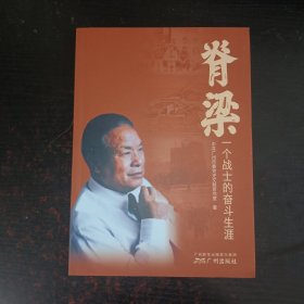 脊梁一个战士的奋斗生涯