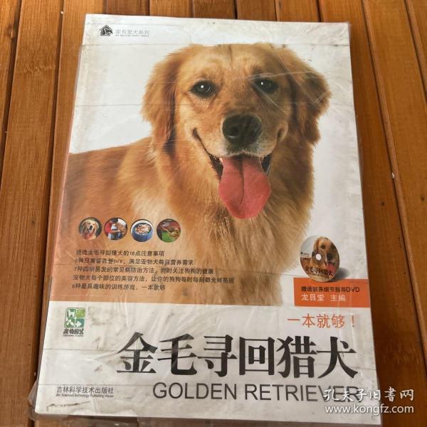 金毛寻回猎犬