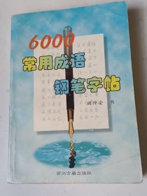 6000常用成语钢笔字帖！