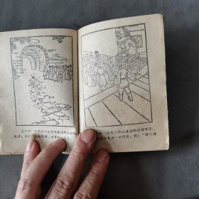 1960年8月 郑若泉繪图 凤仙与龙爪 一册