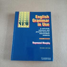 English Grammar in Use: A Self-Study Reference and Practice Book for Intermediate Students With Answers
