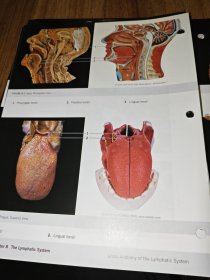 a photographic atlas for anatomy&physiology（解剖学和生理学的摄影图集）