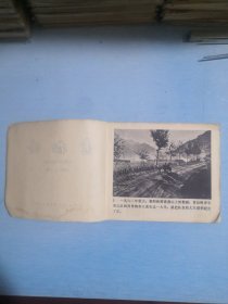 青松岭