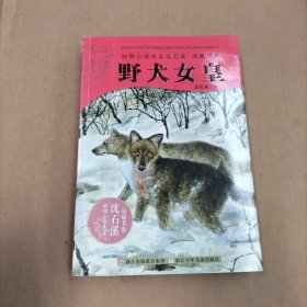 野犬女皇：动物小说大王沈石溪.品藏书系