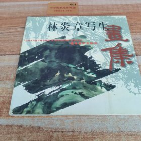 林炎章寫(xiě)生畫(huà)集
