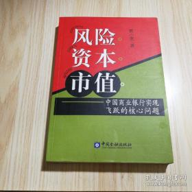 风险资本市值：中国商业银行实现飞跃的核心问题  0