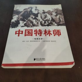 中国特林师 电视文学