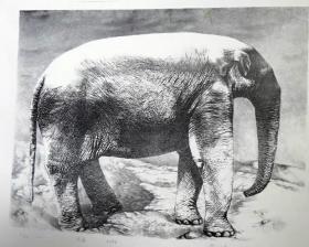 中国-霍友峰-石版画《大象》