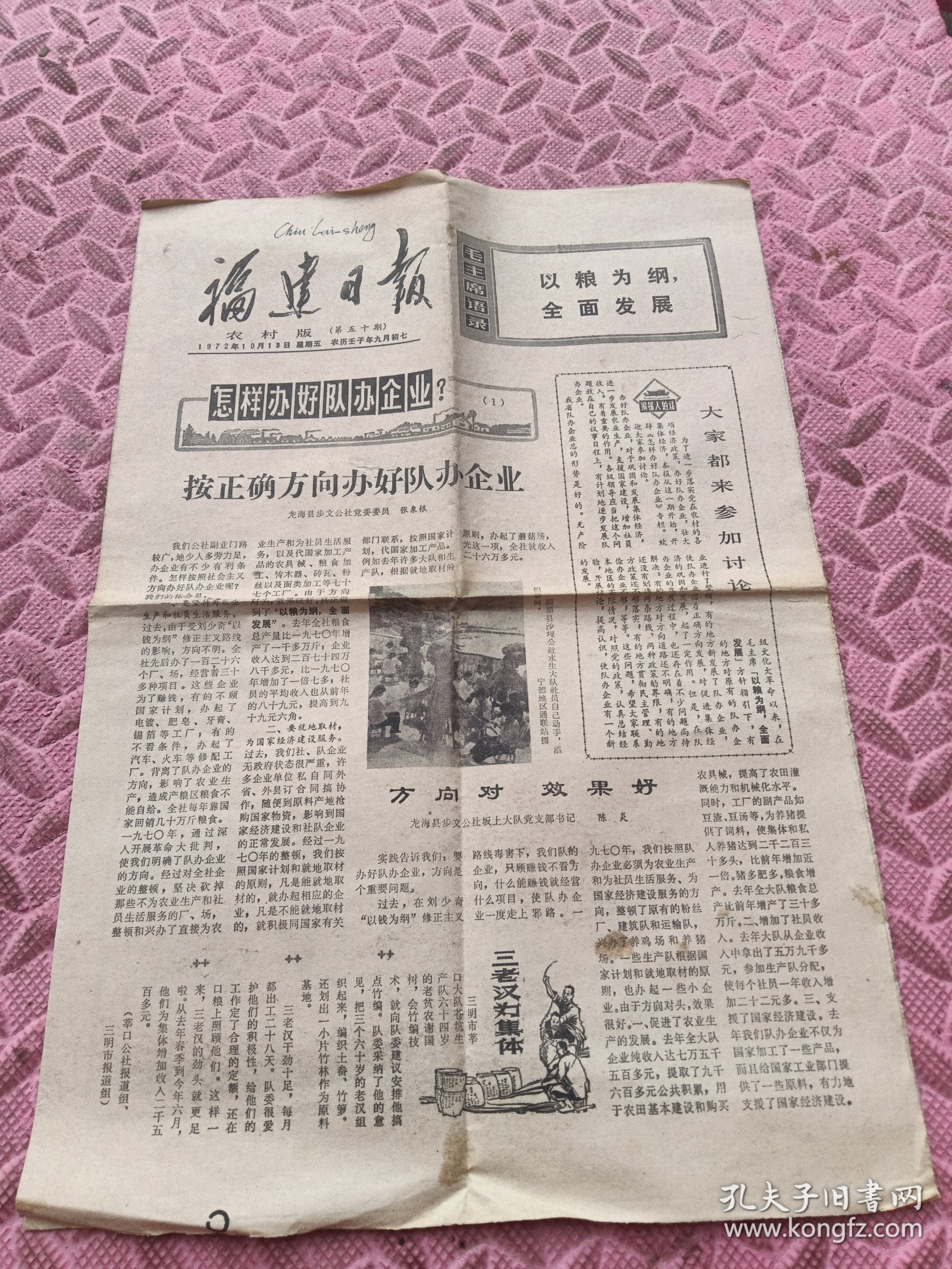 福建日报。农村版，1972年10月13日