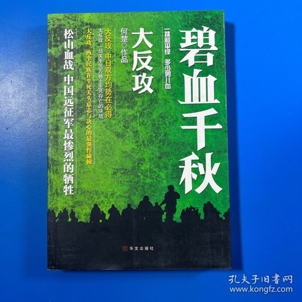 碧血千秋：大反攻