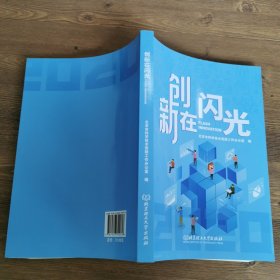 创新在闪光(2020)