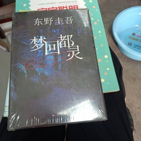 梦回都灵：东野圭吾悬疑系列