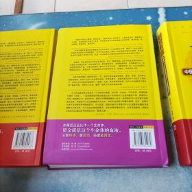 融资有道：中国中小企业融资操作技巧大全与精品案例解析；融资有道：中国中小企业融资风险案例解析与融资管理策略（精华版2）融资有道：中国中小企业融资财务运作与经典案例解析（精华版3）(3册合售)