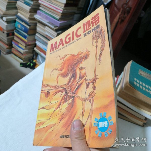 MAGIC地带：《电子游戏软件》杂志特刊