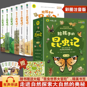 给孩子的昆虫记（全6册） 彩图注音版法布尔小学阅读一二三四五六年级课外必读少儿文学百科世界经典名著丛书