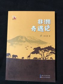 非洲奇遇记 金凤凰名家原创儿童小说书系，探秘非洲大陆生态奇境，一览非洲热带草原、野生动物