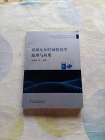规模化长时储能技术原理与应用