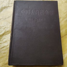 中国大白科全书《电子与计算机》