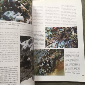 山茶·人文地理杂志 1999年 第2期
