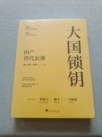 大国锁钥：国产替代浪潮