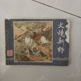 连环画，火烧新野（三国演义之十九）