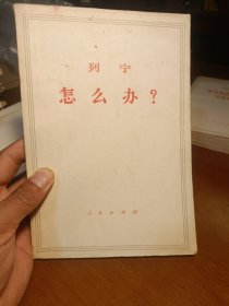 列宁 怎么办？