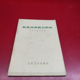 针灸临床取穴图解