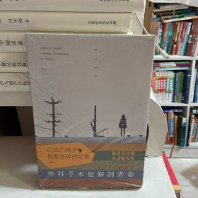 孤独的孩子，提着易碎的灯笼