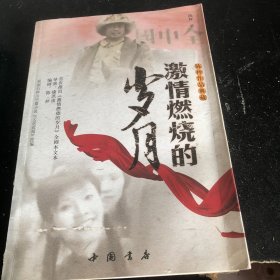 激情燃烧的岁月