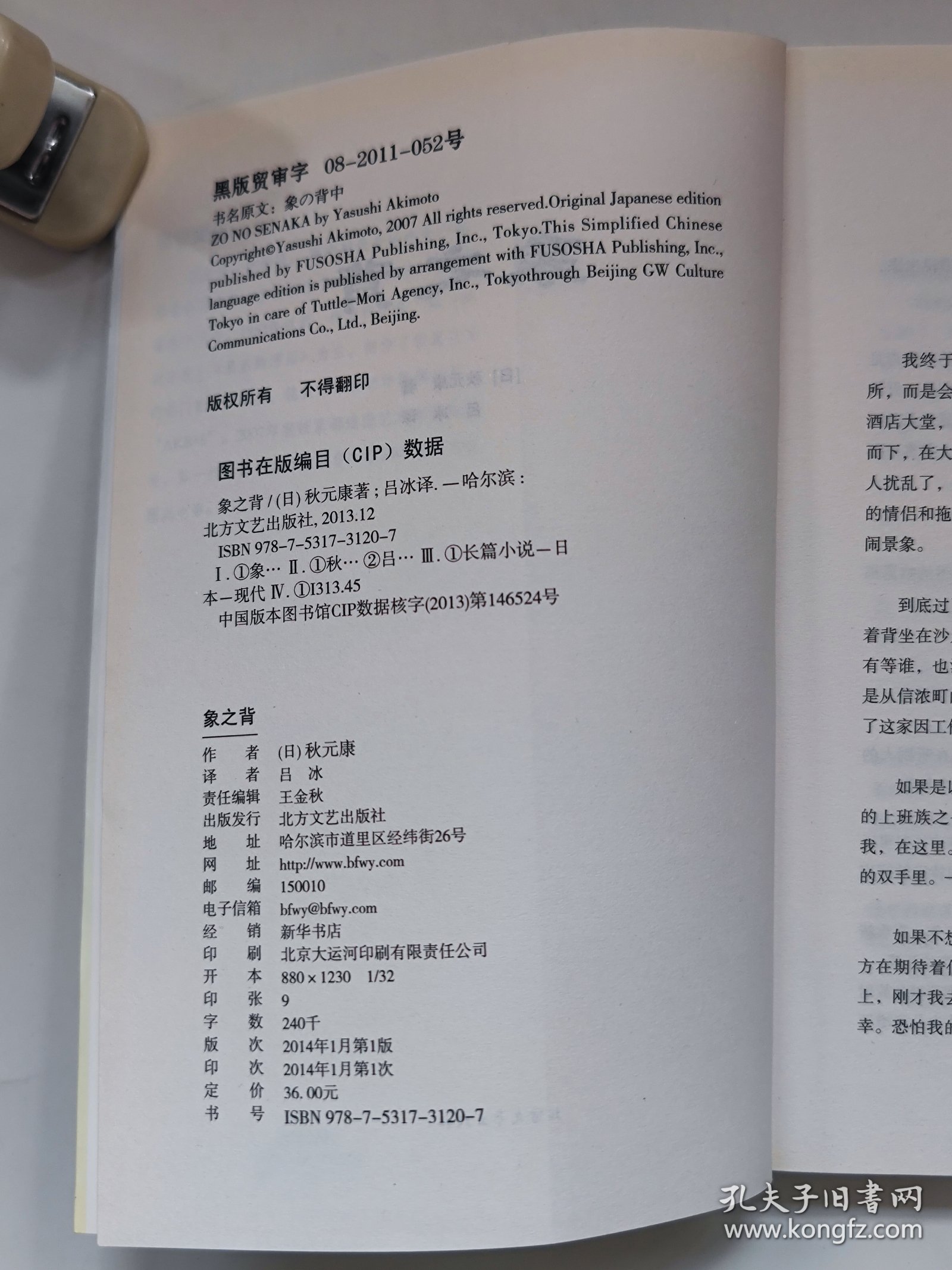 象之背