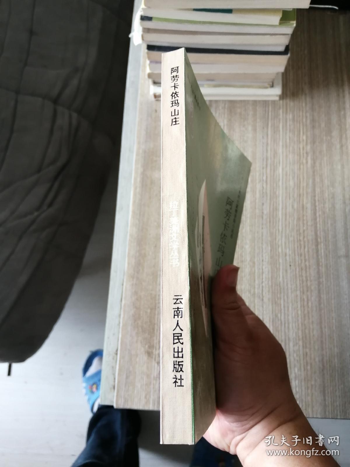 阿劳卡依玛山庄：阿尔瓦罗·穆蒂斯作品集