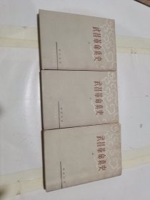 武昌革命真史/上中下