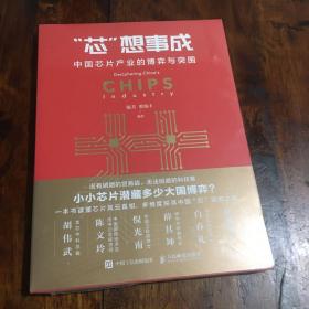 芯想事成 中国芯片产业的博弈与突围