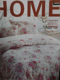 HOME广东分行专刊 2010初夏号