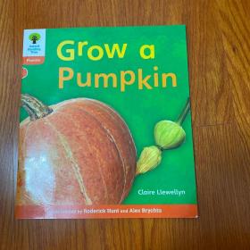 oxford reading tree ：grow a pumpkin